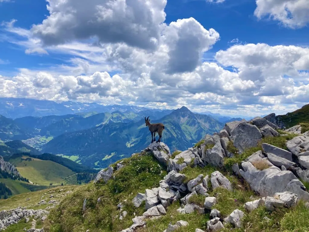 Đỉnh núi ở Auvergne-Rhône-Alpes