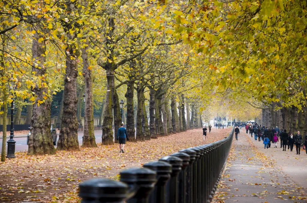 Mùa thu ở Công viên Hoàng gia London