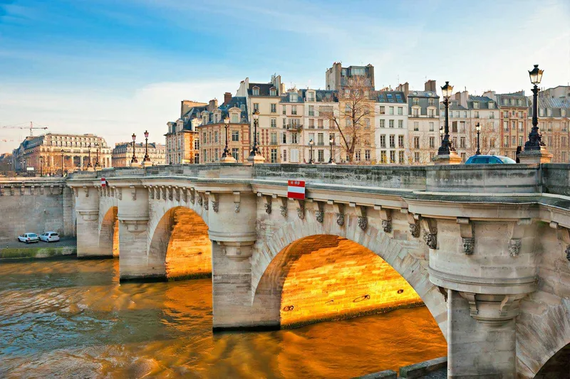 Cây cầu Pont Neuf