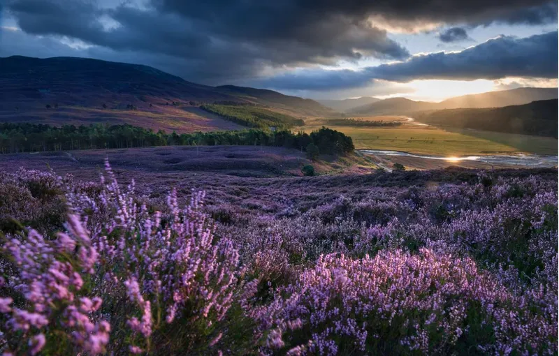 Hướng dẫn du lịch Scotland